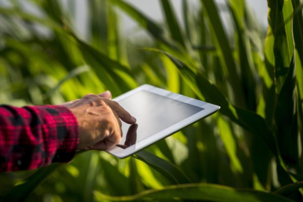 senseluto | soil testing | agri consultant | coimbatore