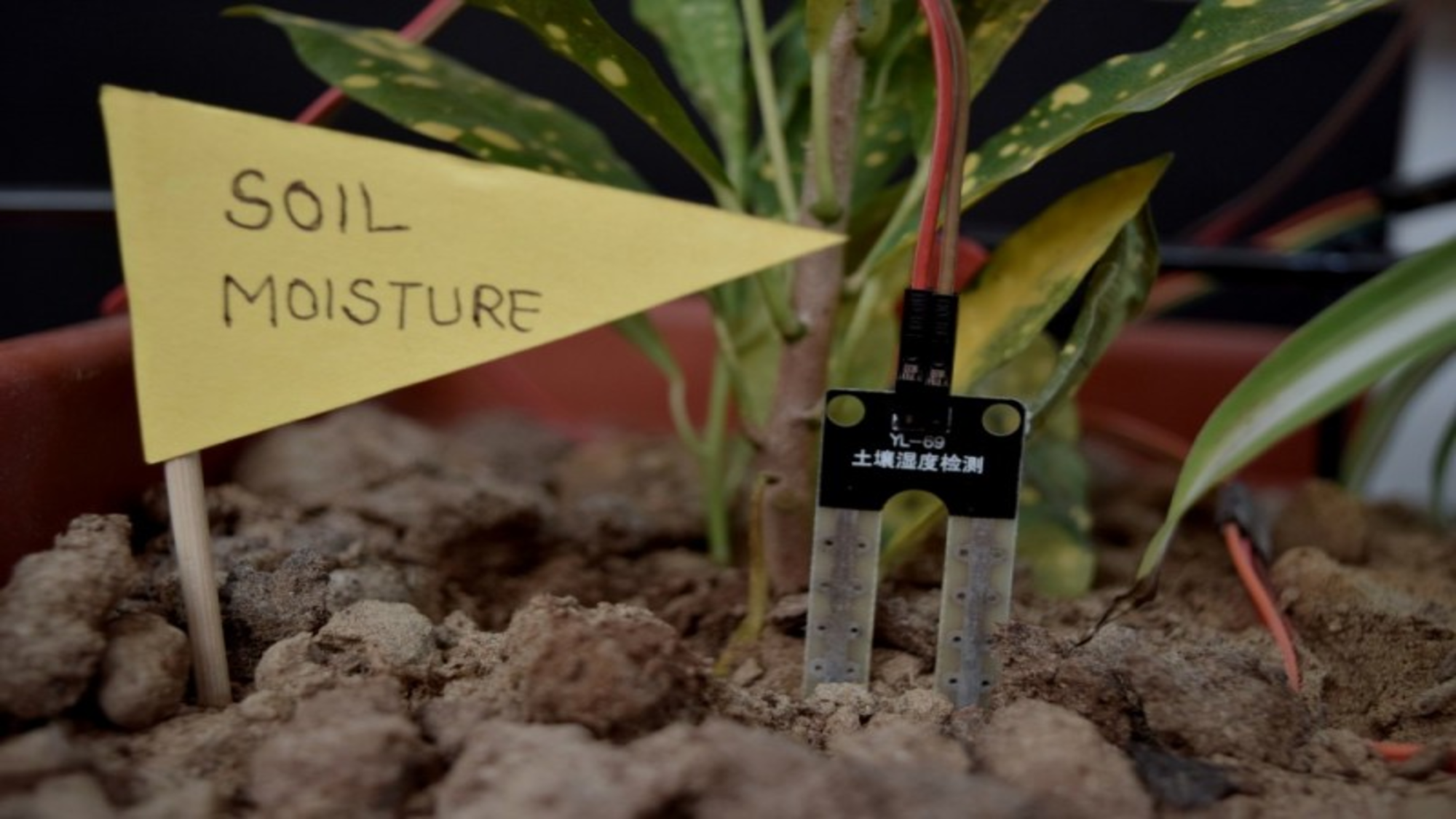 Soil sensor moisture gadget for senseluto the use of soil trying out and agri consulting